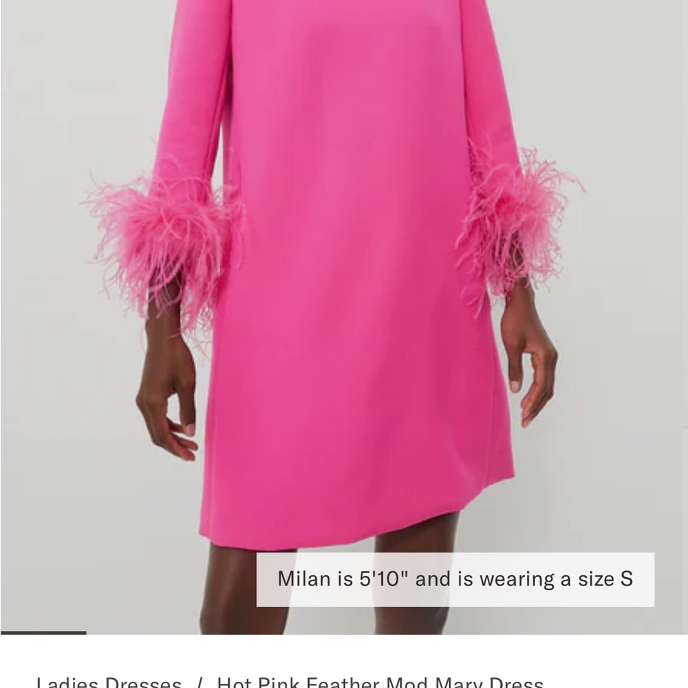 Tuckernut hot pink dress with feathers